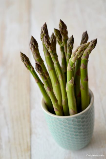 asperges / asparagus