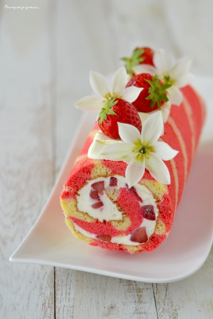 Bûche estivale glacée aux fraises !